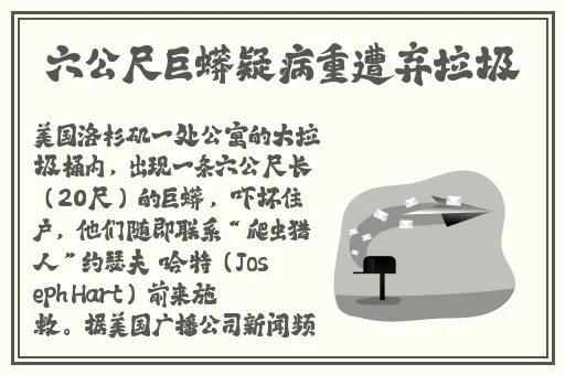 女人和男人插曲视频大全